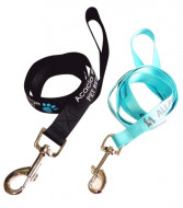 Dog Leads