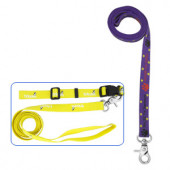 Dog Leashes and Collars