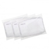 Face Mask Filter 
