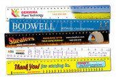 Full Colour Moulded Plastic Ruler