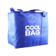 Gail Non-Woven Cooler Bag