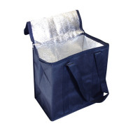 Gail Non-Woven Cooler Bag 