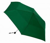 Green Mini Umbrella with Protective Cover