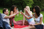 Large Comfortable Fleece Picnic Blanket