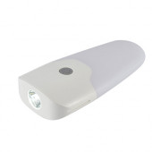 LED Light Torch