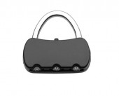 Luggage Lock