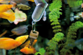 Message in a bottle keyring 