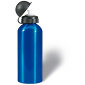 Metal drinking bottle (600 ml)