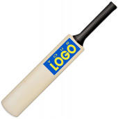 Mini Cricket Bat - 42 cm