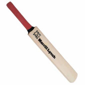 Mini Cricket Bat