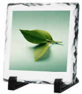 Photo Slates