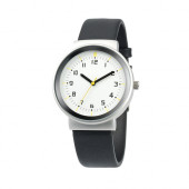 Pictor Model Watch