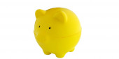 Pig Yellow