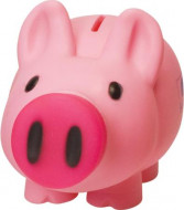 Piggy Bank with Rubberised Screw Nose 