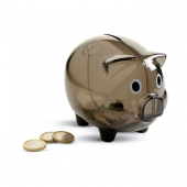 Plastic piggy coin bank