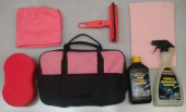 Shine car wash kit