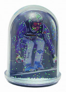 Snowdome Photo Insert Large