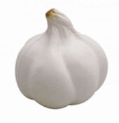 Stress Garlic