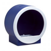 Transparent Coin Bank 