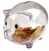 Transparent Piggy Bank in Silver 