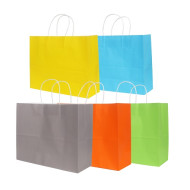 Twisted Handle Kraft Paper Bag (320 x 250 x 120mm) 