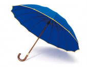 Umbrella Premium 