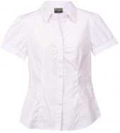 Urban Stripe Shirts- Short Sleeve 