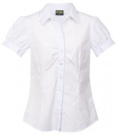 Urban Stripe Shirts- Short Sleeve 