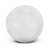 Volleyball Pro 