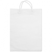 White paper shopping bag